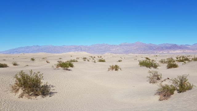 Mesquita Flat Sand Dunes