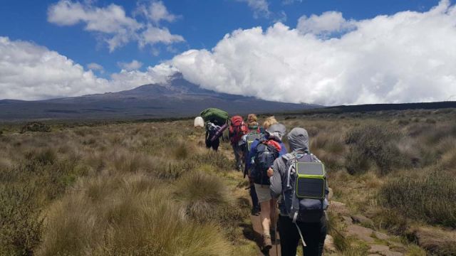 beklimming kilimanjaro