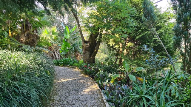 wandelen tropische tuinen sintra