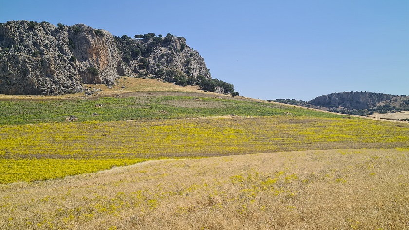 Andalusië roadtrip