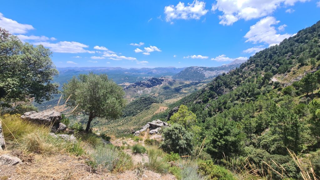 Sierra de Grazalema Natural Park