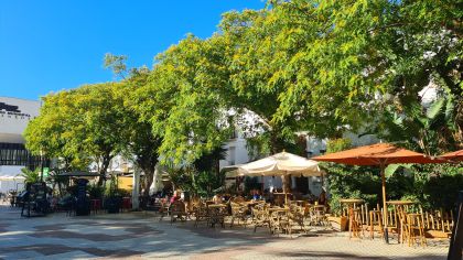 Tarifa Plaza