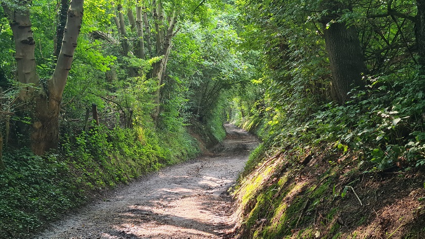 Ootwinkelsweg Holle weg krijtlandpad