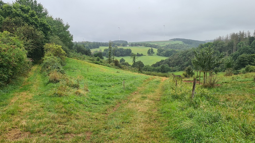 Lichtert Berg Lorbach Mechernich