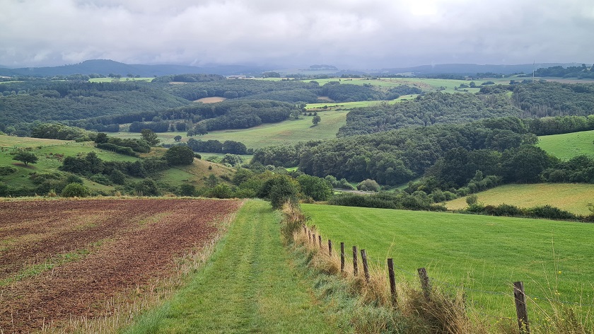 Eifelspur Panoramawandeling So weit das Auge reicht